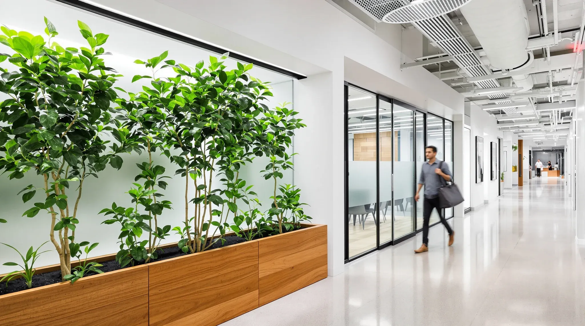 Glass meeting rooms with graduated frosting set back behind planters on a shared office floor