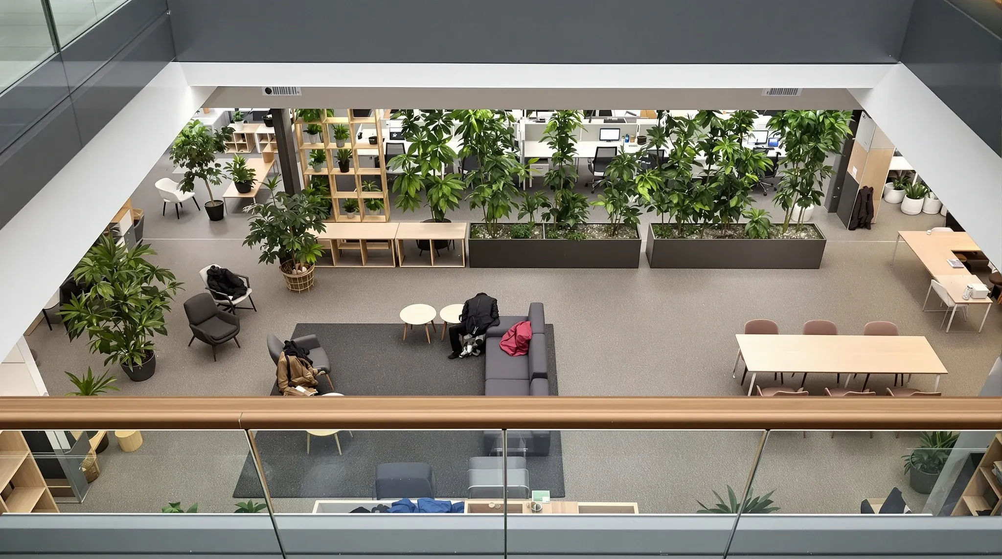 An open-plan office seen from above, zoned by a rug, low shelving and planters, with nobody there