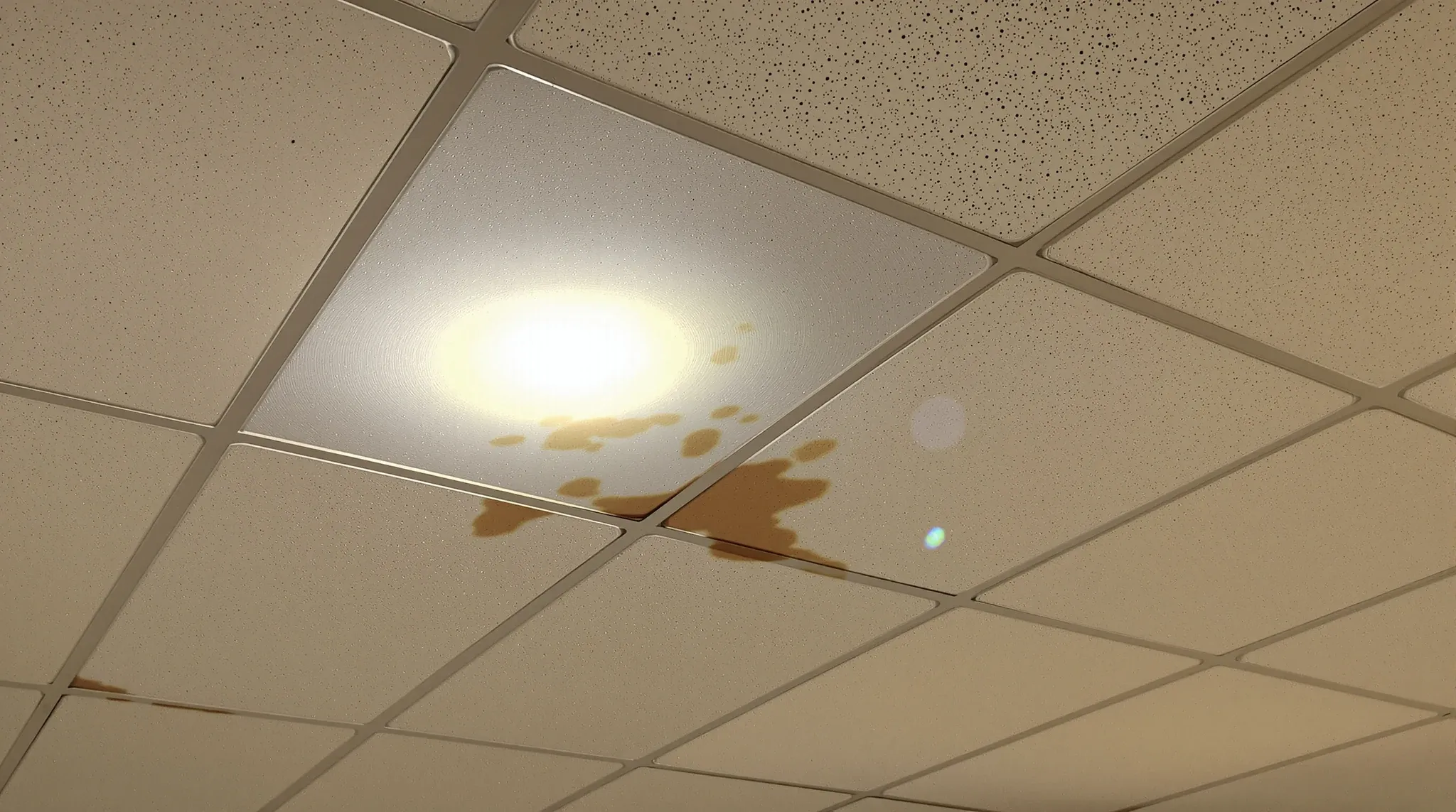 A water-stained ceiling tile in an older vacant office, lit by a torch beam