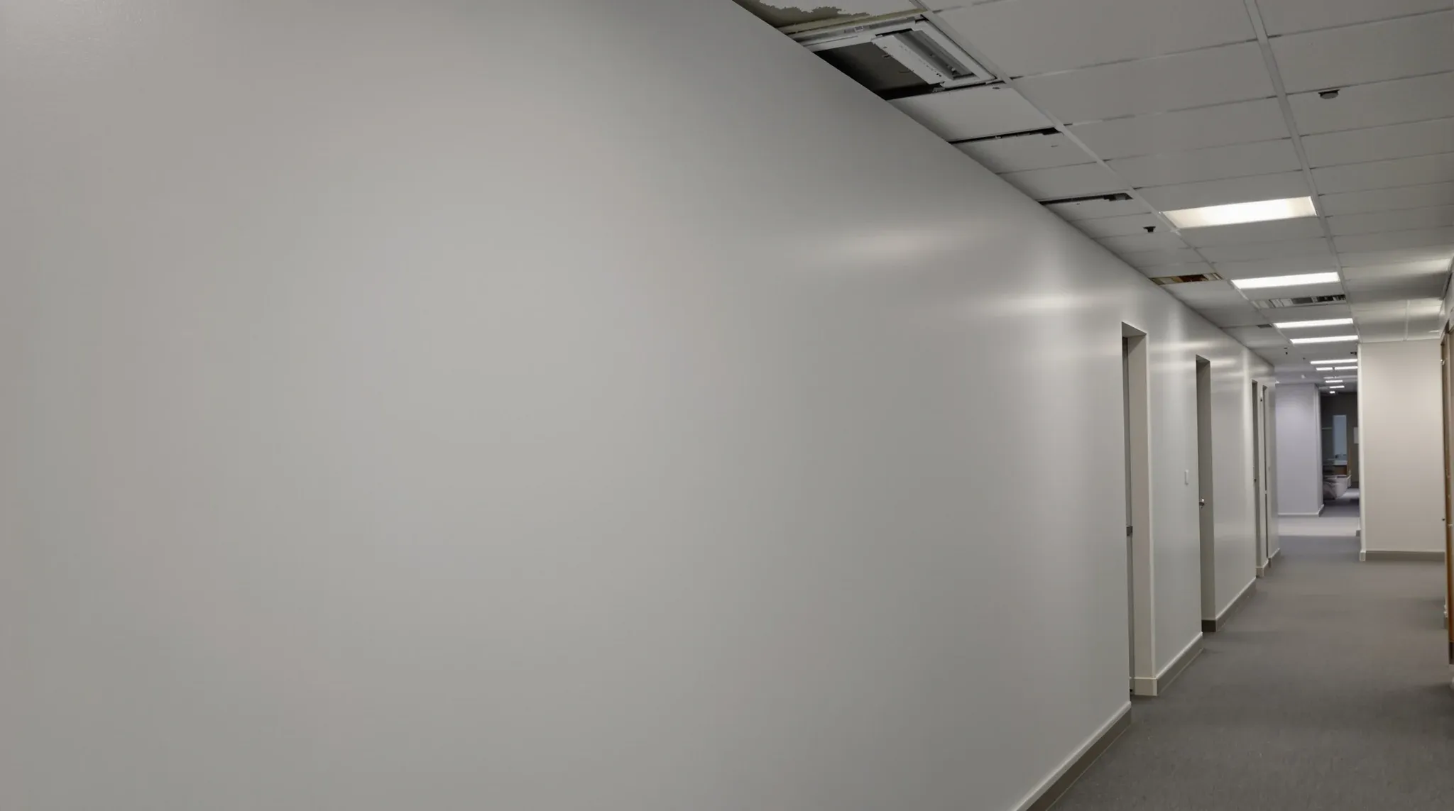 A plain demising wall in an office corridor reaching up to the concrete slab