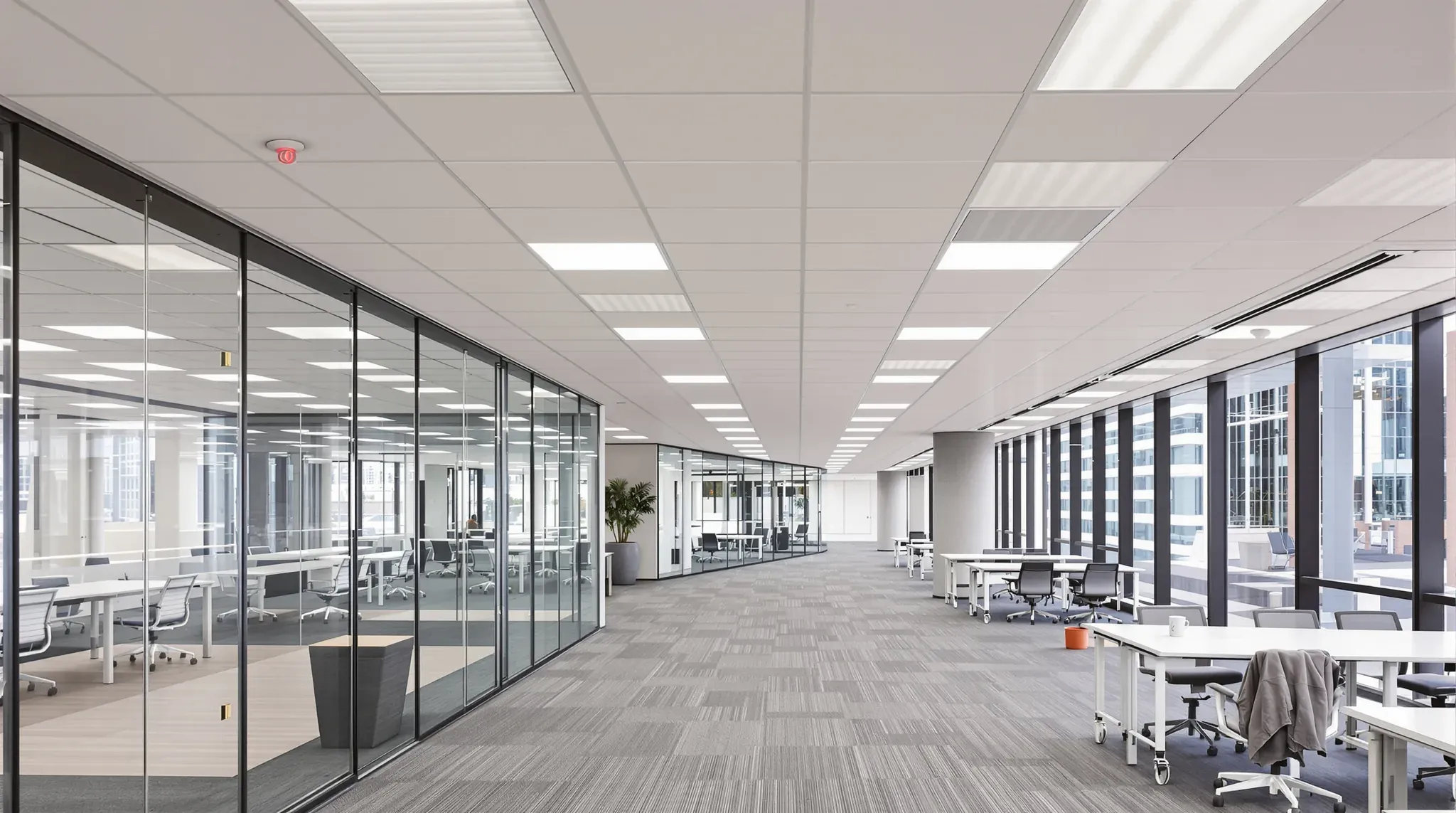 Open-plan office with LED panels in a suspended ceiling, glass-walled meeting rooms and desks by the windows