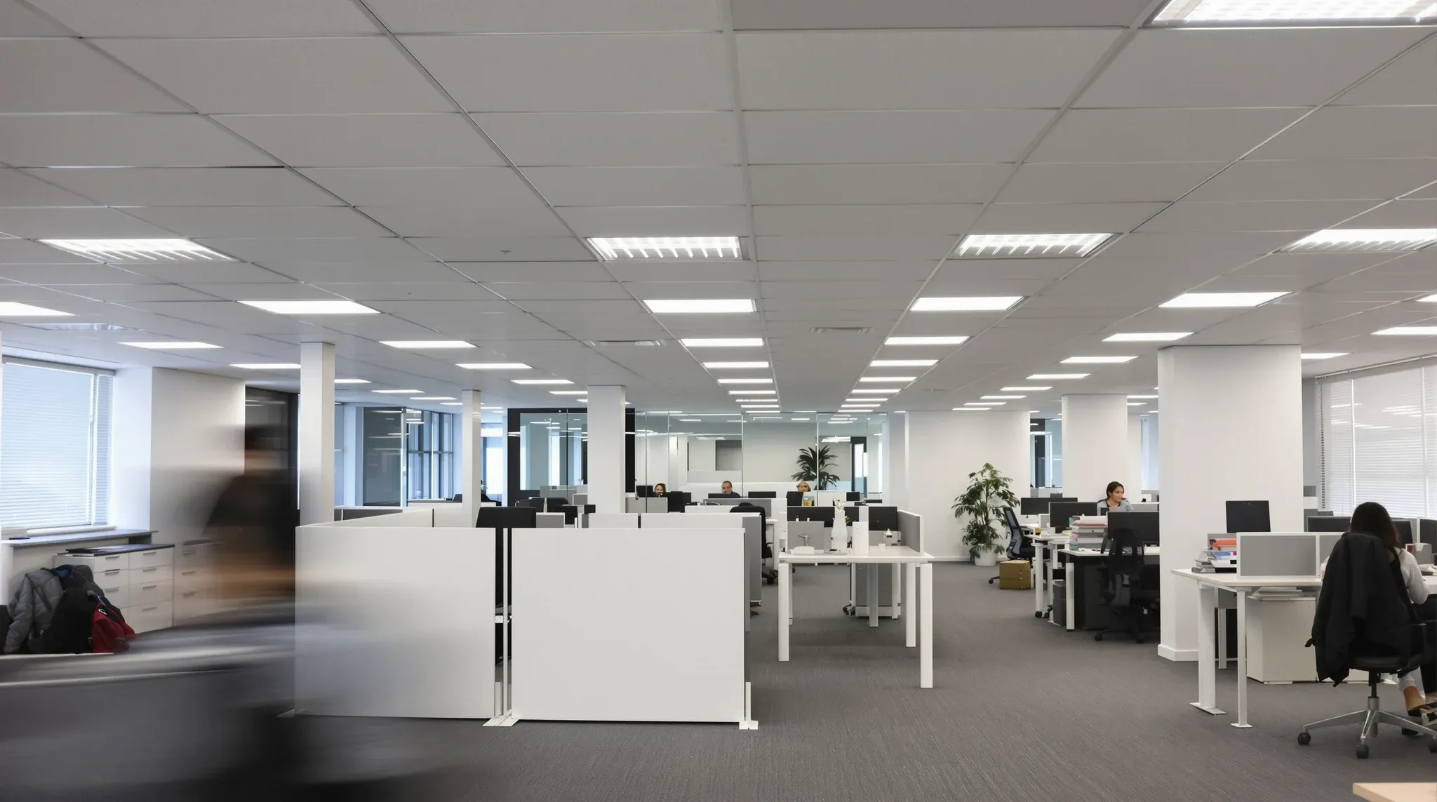 A working office floor under a fresh white tile ceiling, with one small area closed off by plain barriers