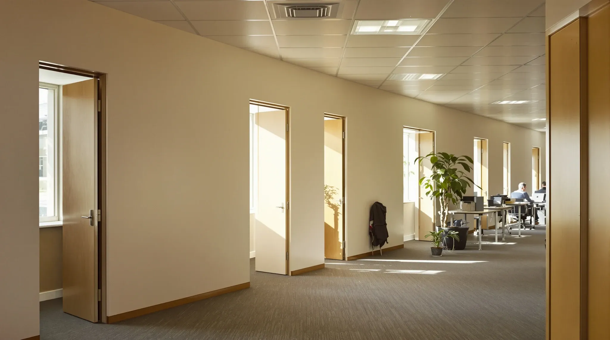 Solid plasterboard offices along the windows, their open doors spilling daylight toward crowded open desks